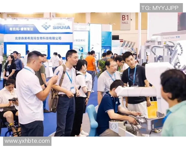 霍伊伦：探索其在现代科技与文化交融中的独特影响力与未来发展潜力